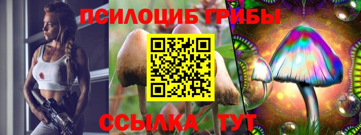 Галлюциногенные грибы MAGIC MUSHROOMS Нефтекумск