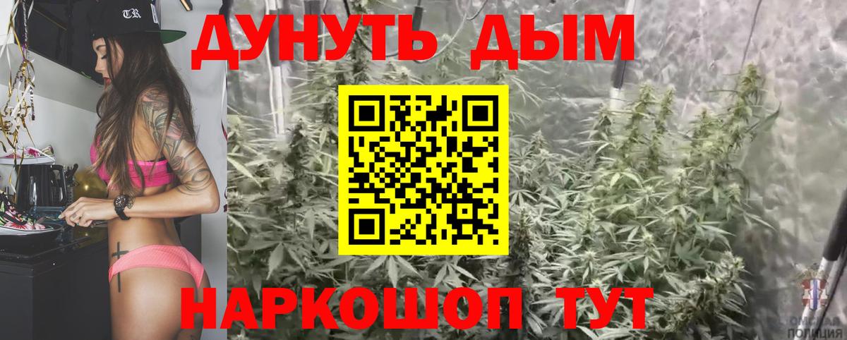 Нефтекумск  Марихуана ГИДРОПОН  МАРИХУАНА ГИДРОПОН  Вход с VPN  Бошки марихуана тримм  Конопля гибрид 
